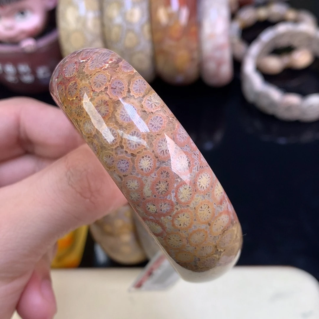 【闪购商品】颈饰未镶嵌硅化珊瑚（珊瑚玉）49号彩柠檬56.2圈