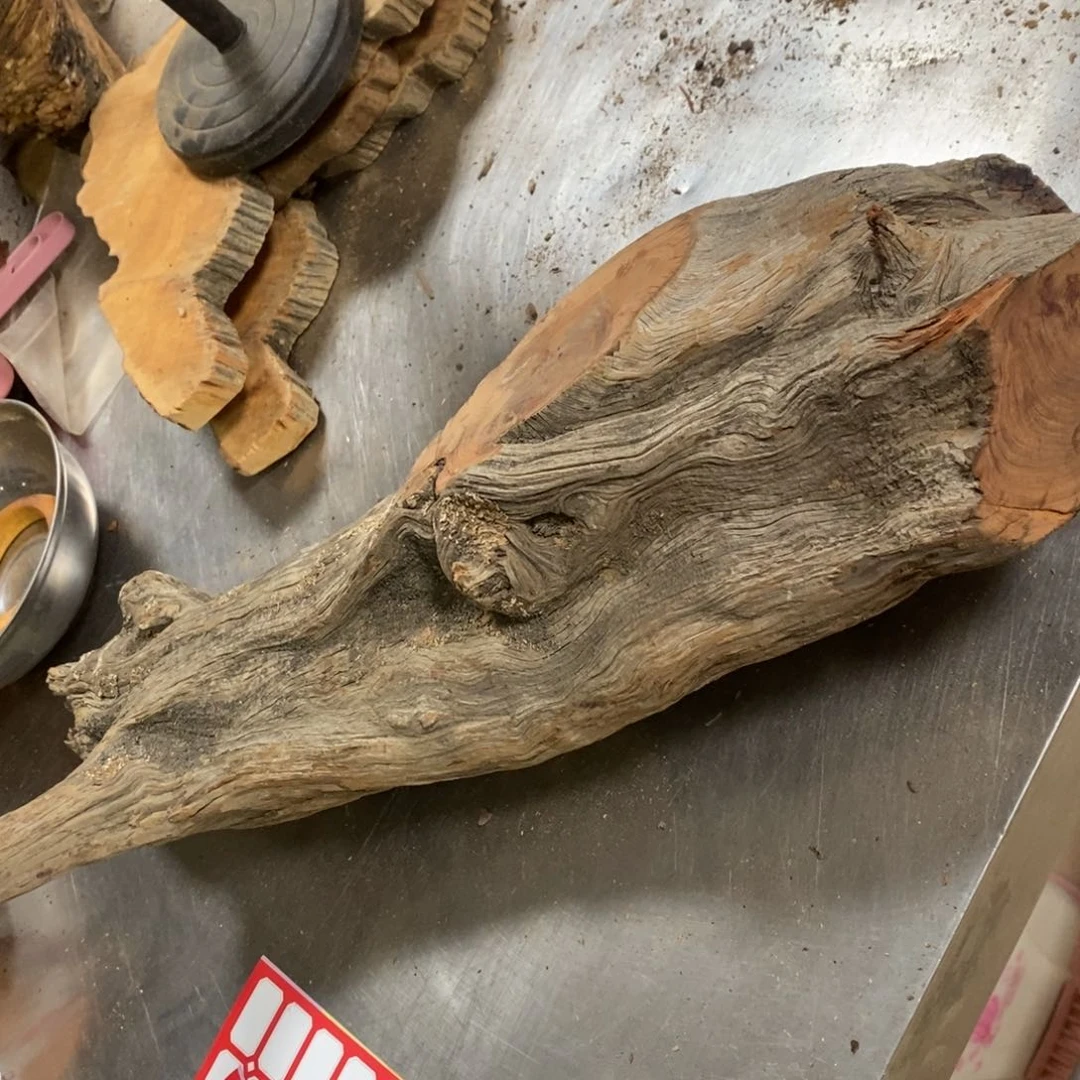 柏木?****?我们都是好孩子