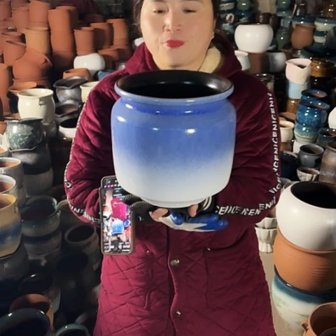 口21高22瑕疵盆子。