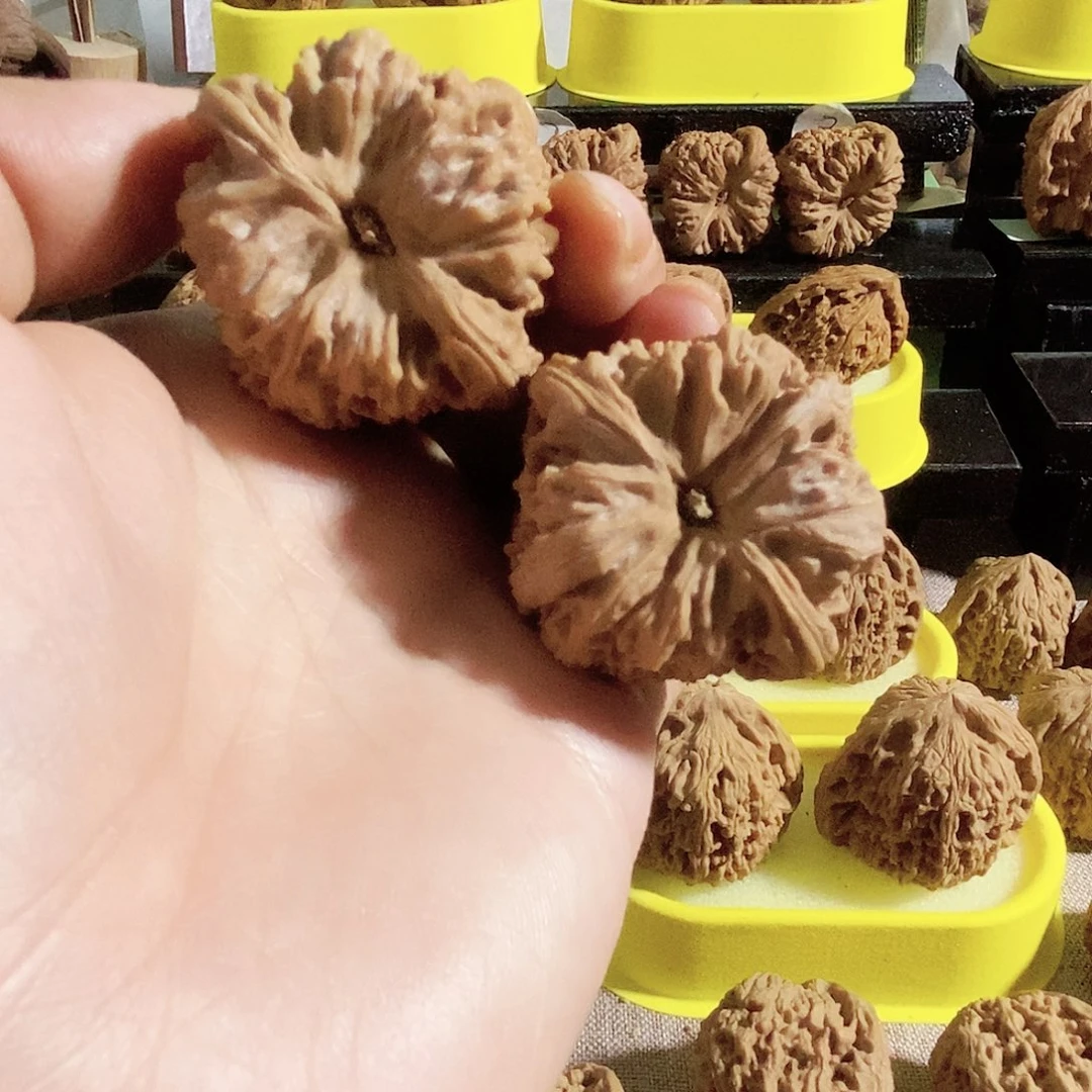 木质类今天是不是要去看