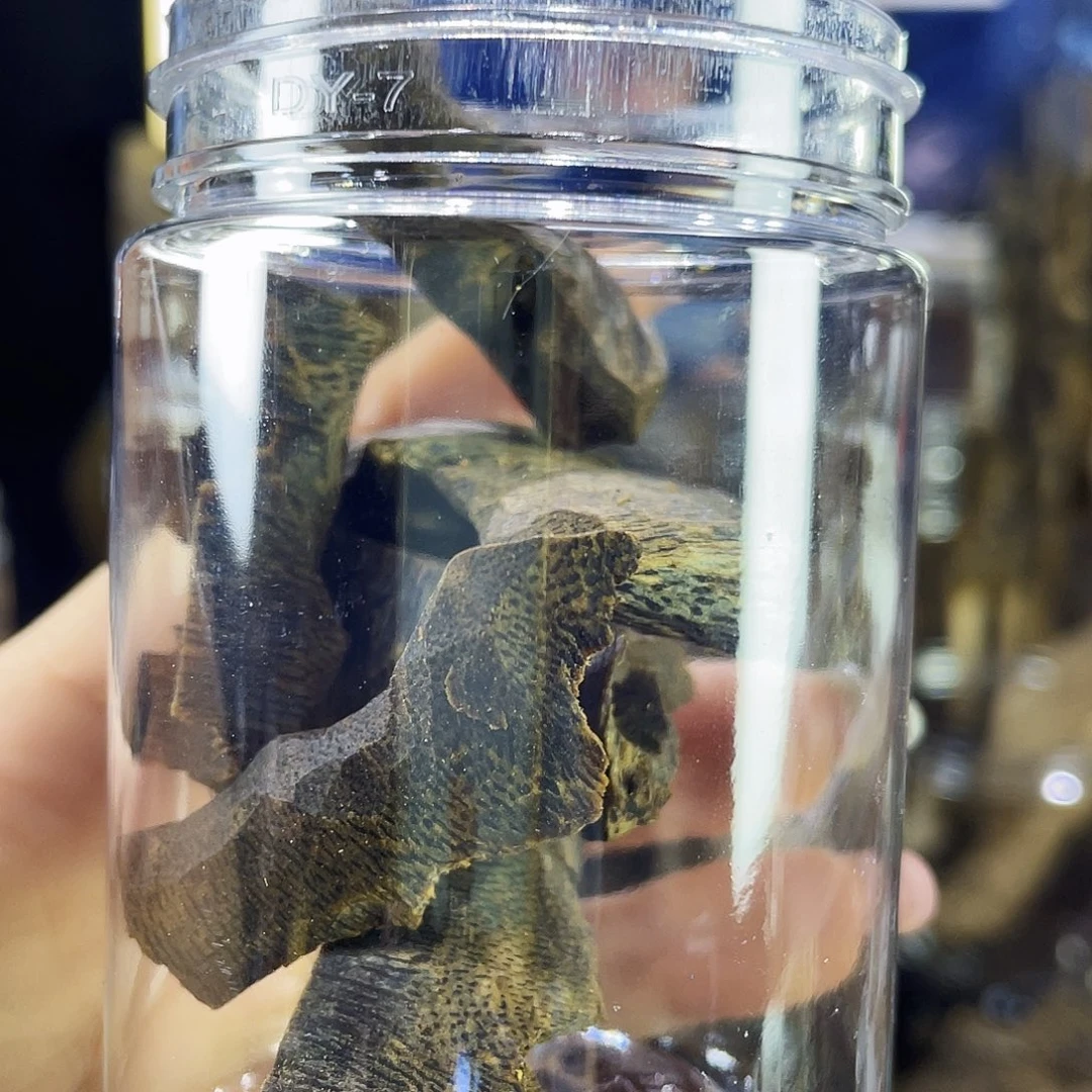 沉香沉香碎屑15克壳子