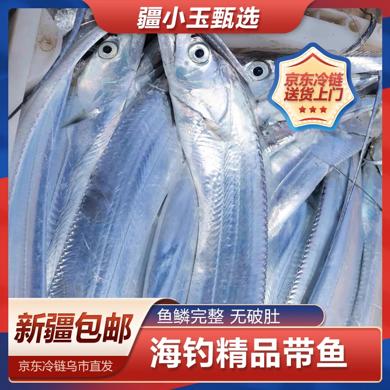 【疆小玉海鲜】精选海捕钓带鱼3-4指宽精品舟山小眼钓带鲜活捕捞