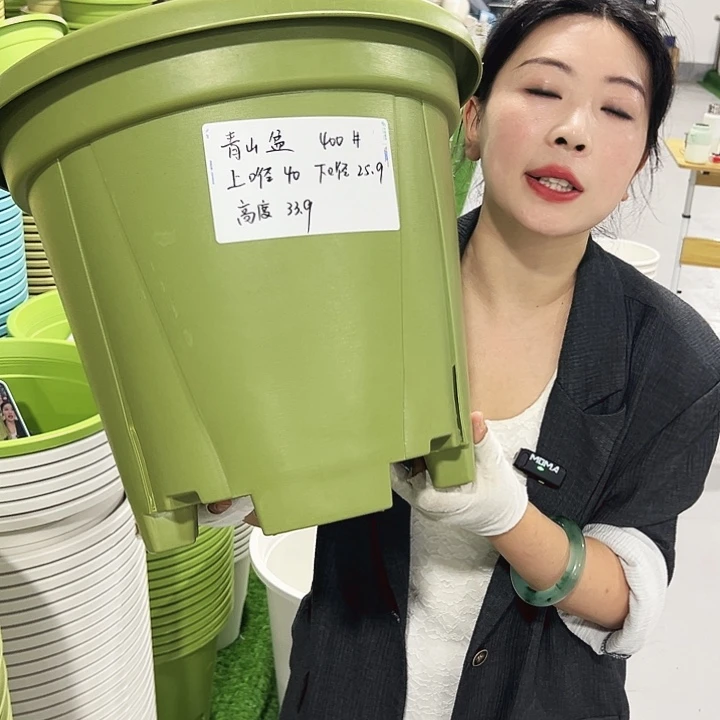 青山口40高34果绿3只无托