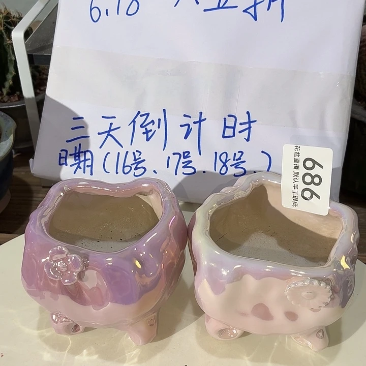 *****炫彩花盆，八五折后价格