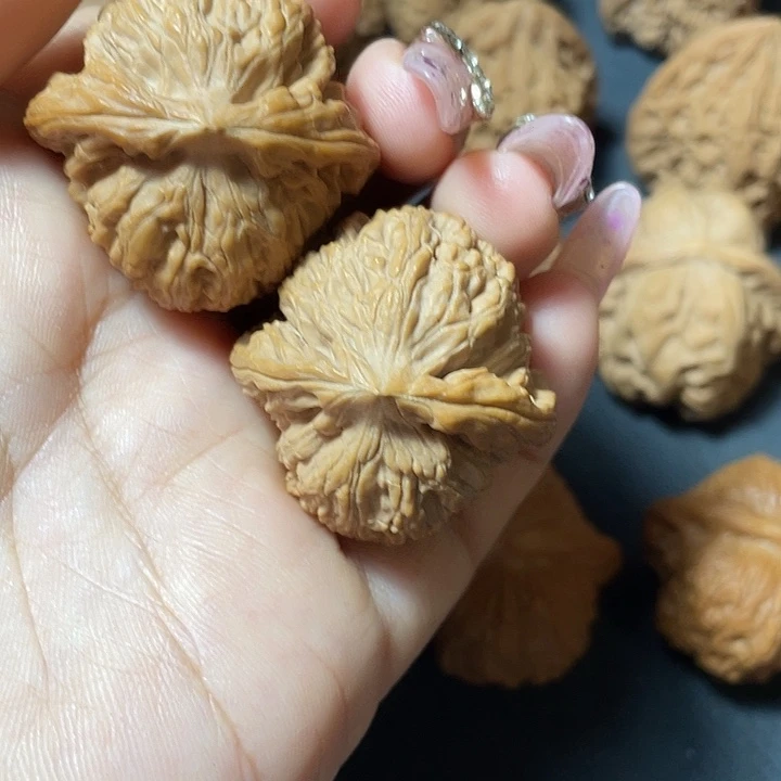 @***）                 白狮子