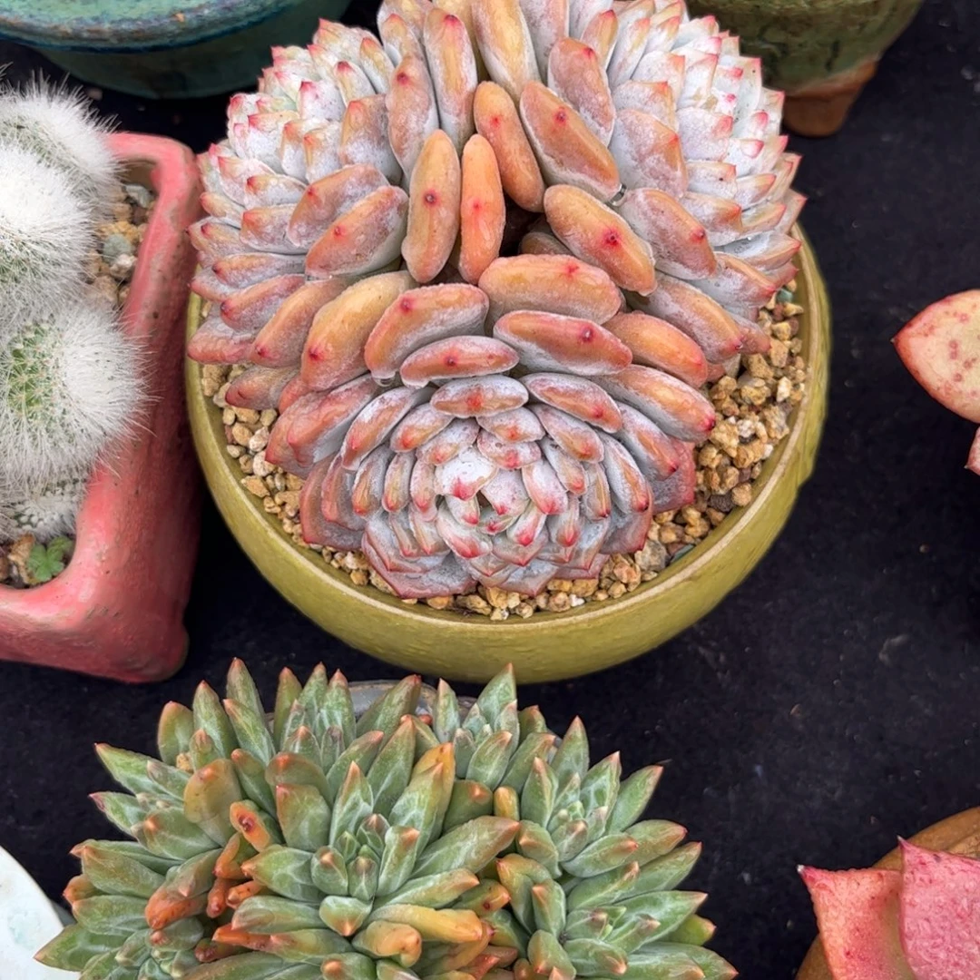 T***n111111111111111111111