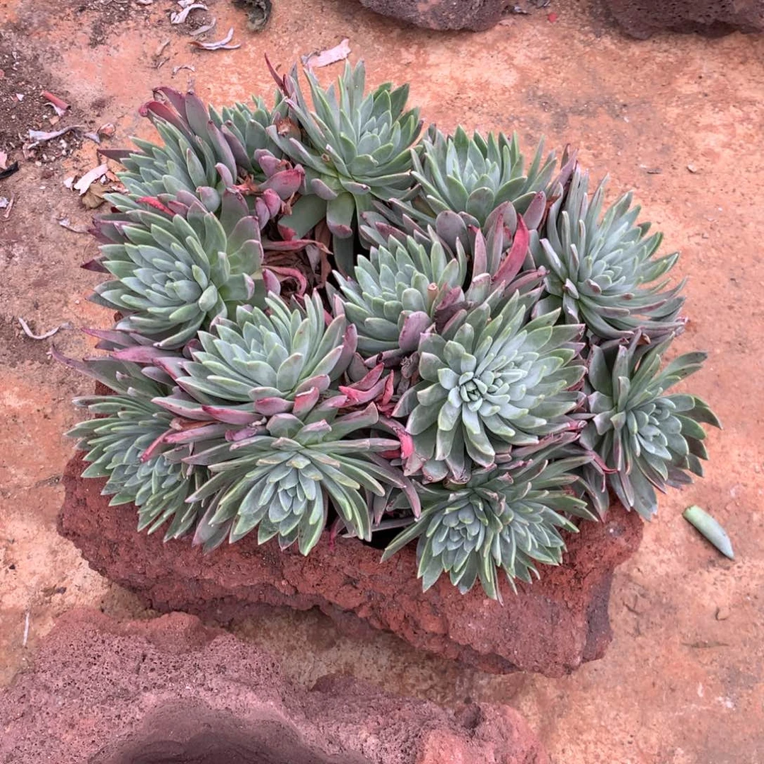 H*。特氏，还余2400