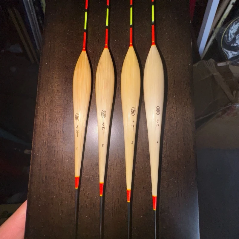 深圳小金正钓抢鱼漂