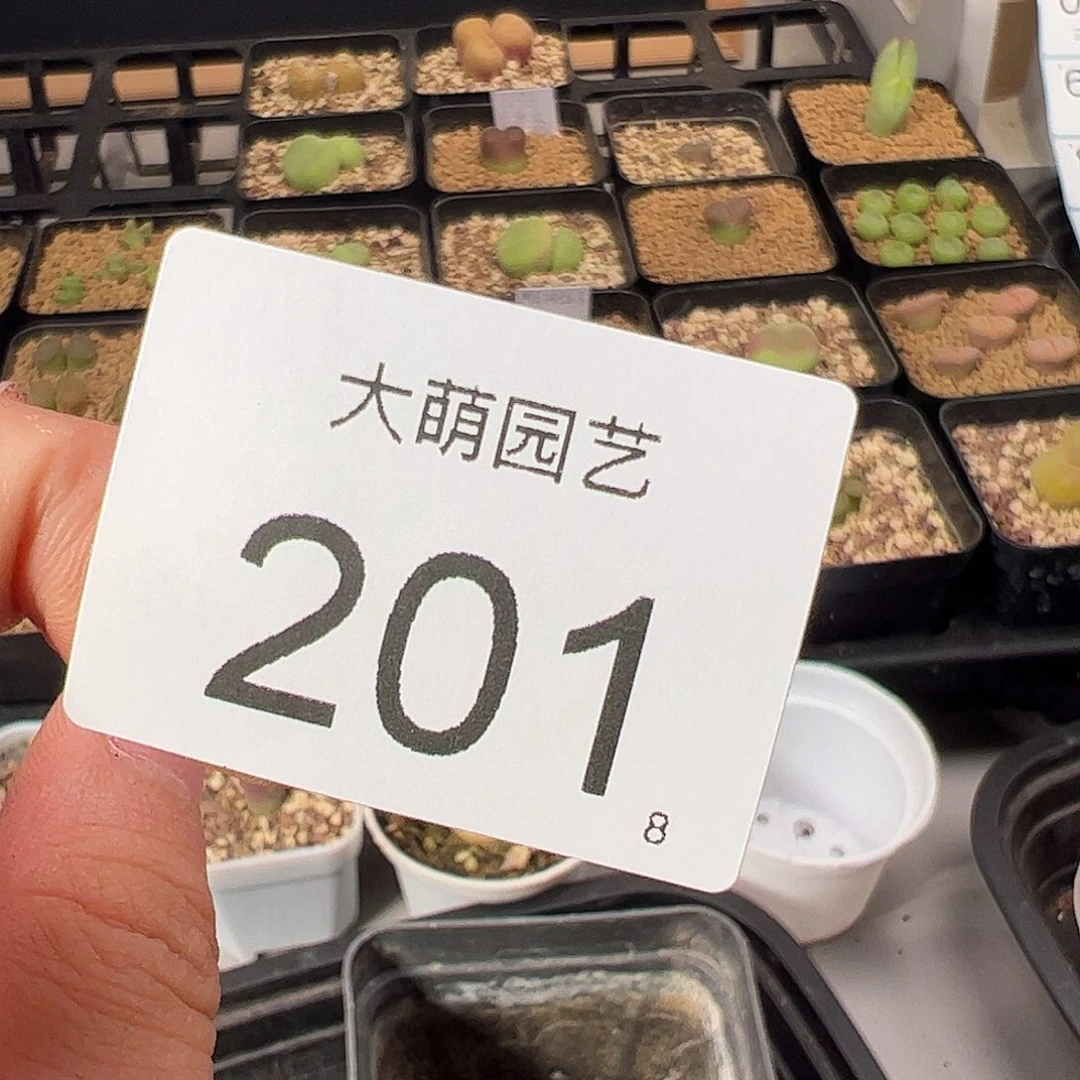 饭*0000201 一物一拍。