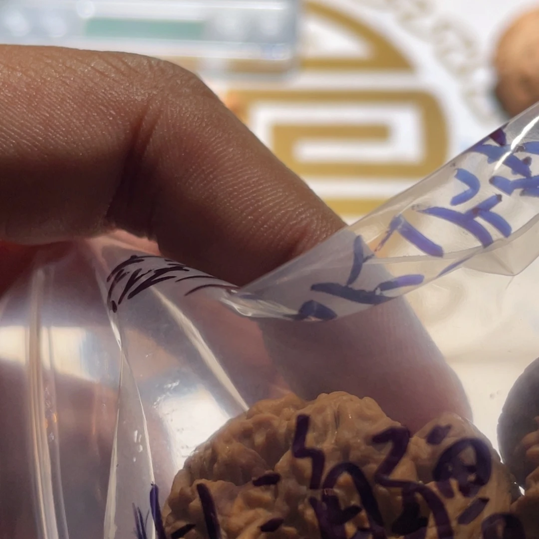 光***基手串/手链核桃001