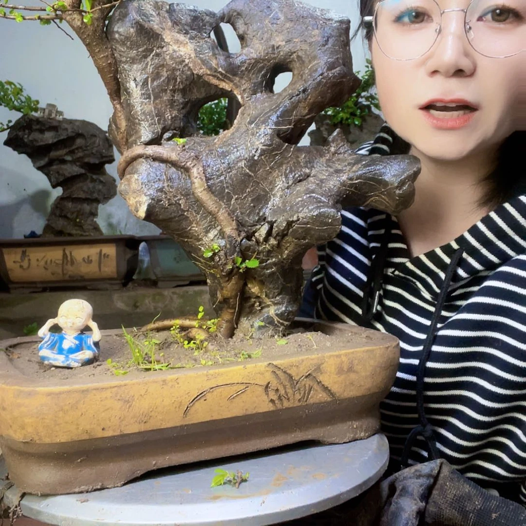 莆****宿精品课程建设项目的