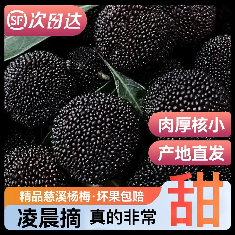 【120颗贡品】正宗余姚杨梅新鲜慈溪杨梅应季水果炭梅颗粒礼盒鲜果