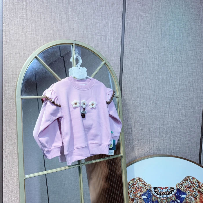 AL288  宝宝紫色圆领长袖单卫衣   加绒  秋冬款