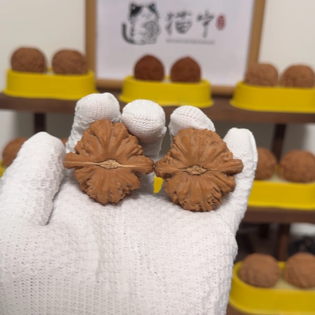 文玩核桃吊坠大眼闷白45尺全品