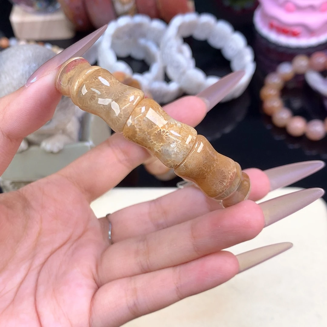 【闪购商品】颈饰未镶嵌硅化珊瑚（珊瑚玉）