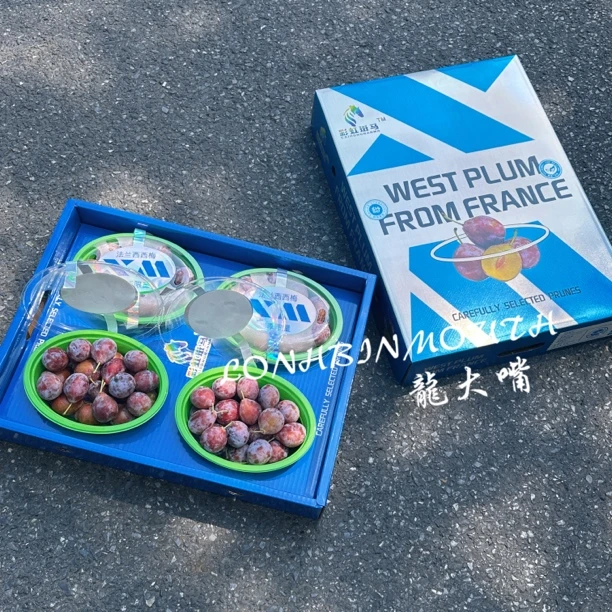 彩虹斑马法兰西西梅