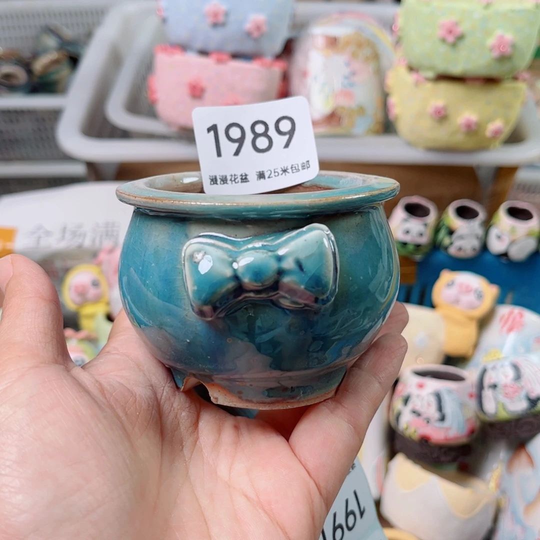 景德镇手工制作1989口6