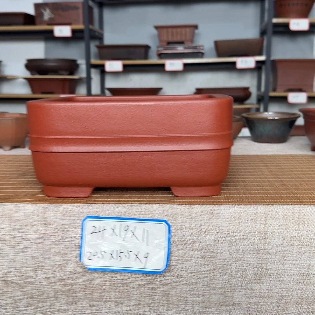 C***松紫砂465778778787878