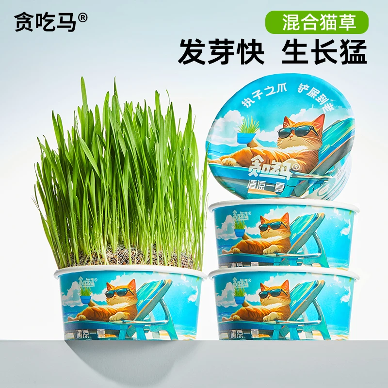 贪吃马夏季猫草罐头四季泡面猫草猫咪零食化毛猫草排毛化毛去毛球