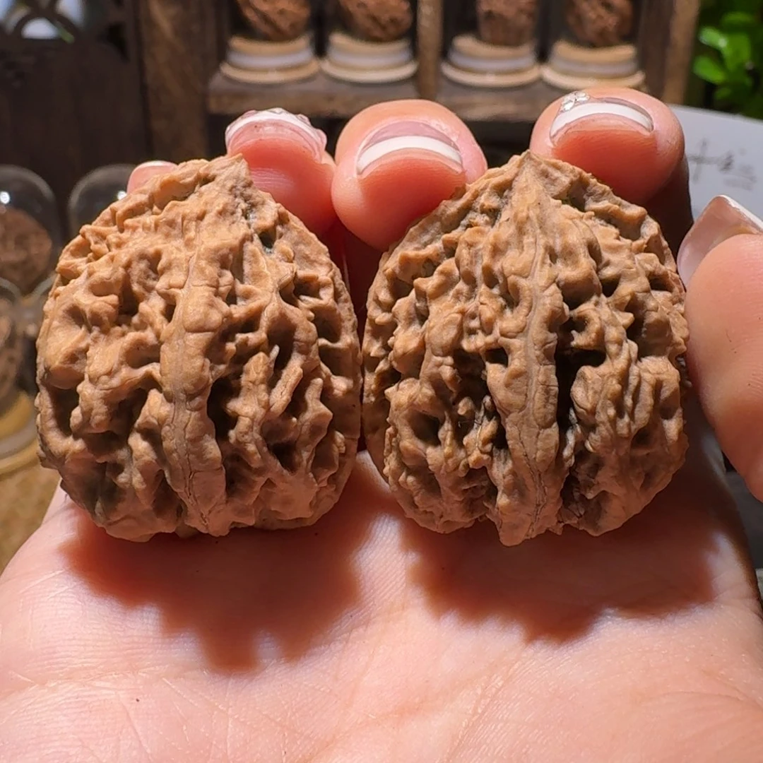 文玩核桃把件火烧蚂蚁