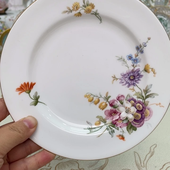 盘维多利亚欧洲中古