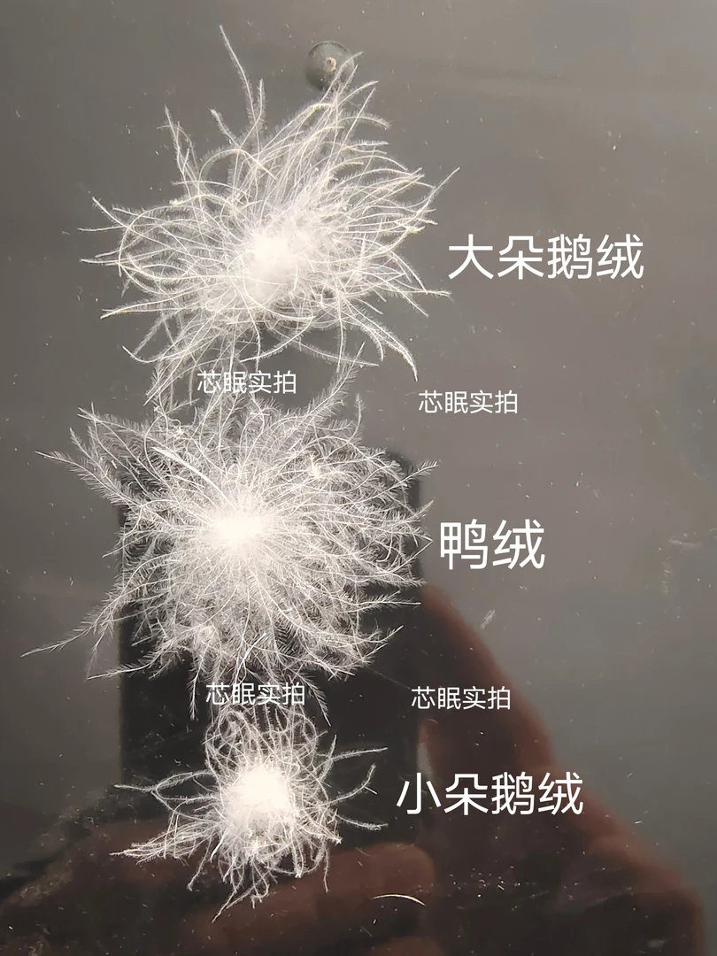 新国标皖西5A老鸭绒手挑特级大朵绒散装批发零售鹅绒