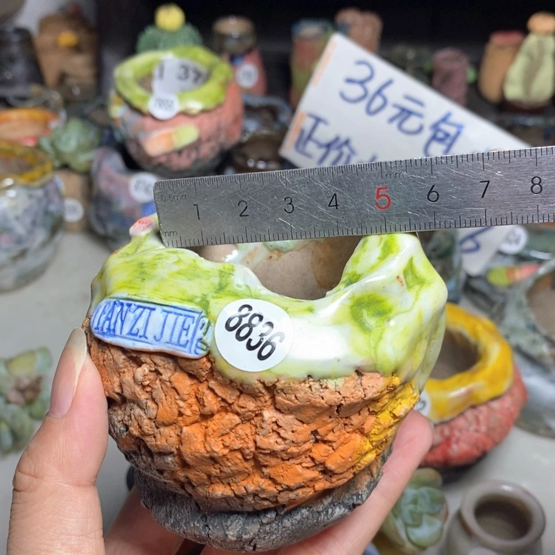 拍5送一个小礼物
