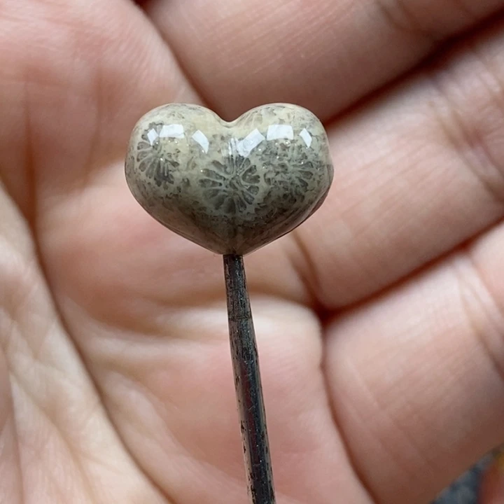 颈饰未镶嵌硅化珊瑚（珊瑚玉）小