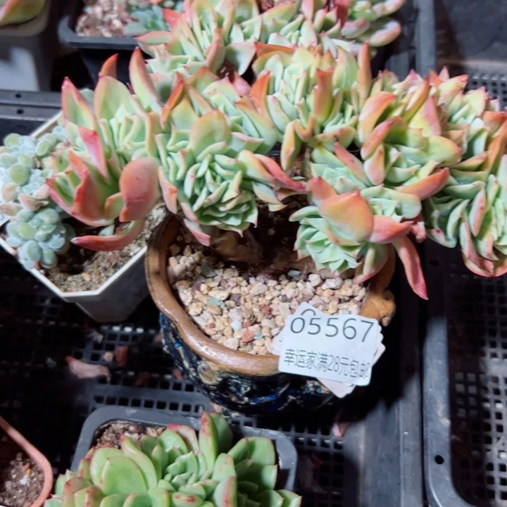 幸运的是我还没遇到过这样
