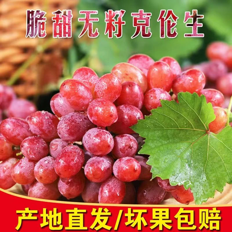 顺丰包邮【克伦生葡萄提子】新鲜头茬克伦生小糖豆克伦森克瑞森红提