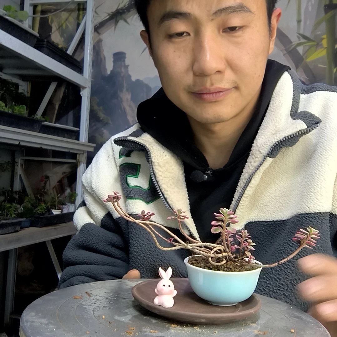 章*爪中青园艺一物一拍486