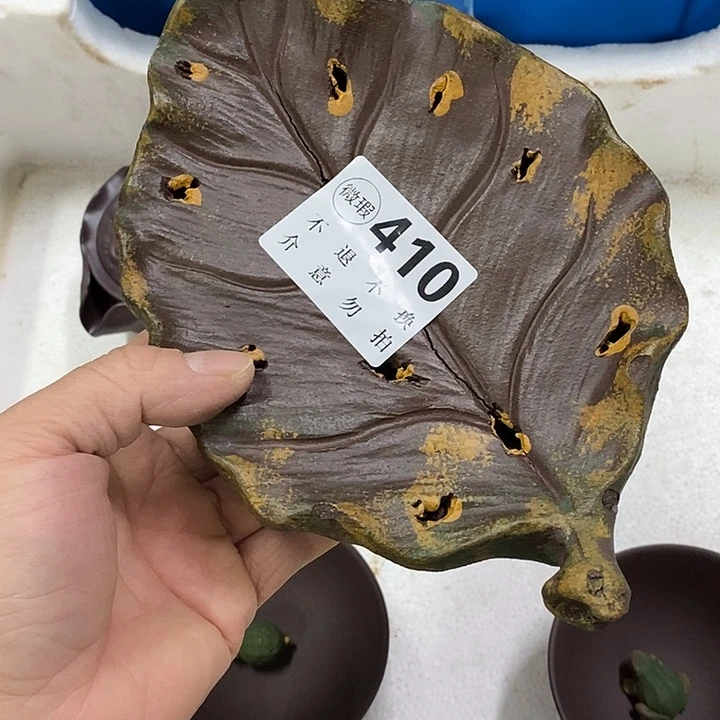 紫砂紫砂紫砂紫砂增长