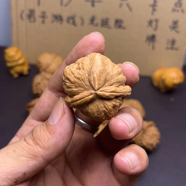 时***短菩提籽类元宝两棱挂角瑕疵