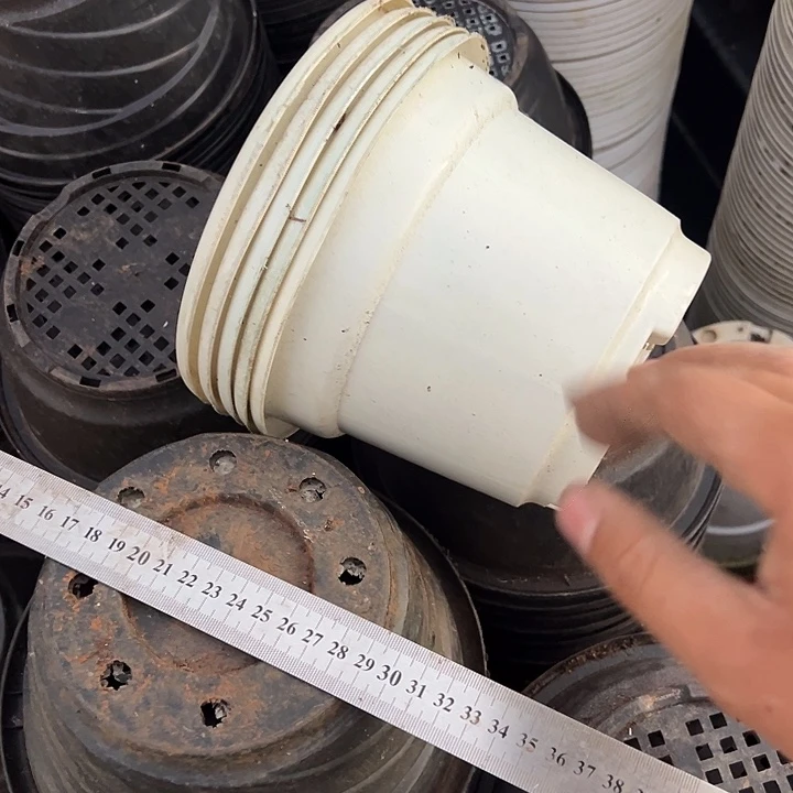 白色圆盆口径18高13发16个