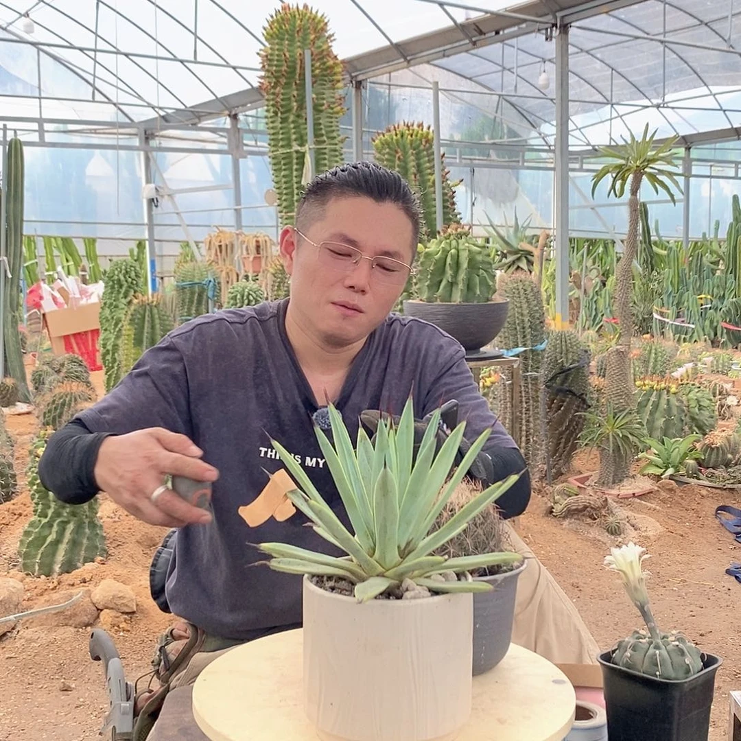 20-25公分冥王量拍