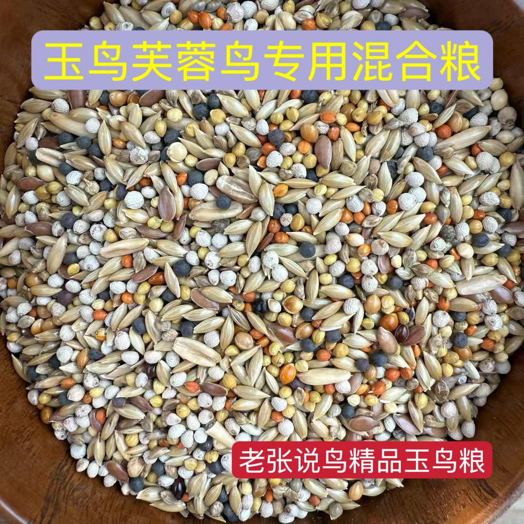 老张说鸟 玉鸟繁殖期专用精品混合粮 十合一配方混合粮现配现发