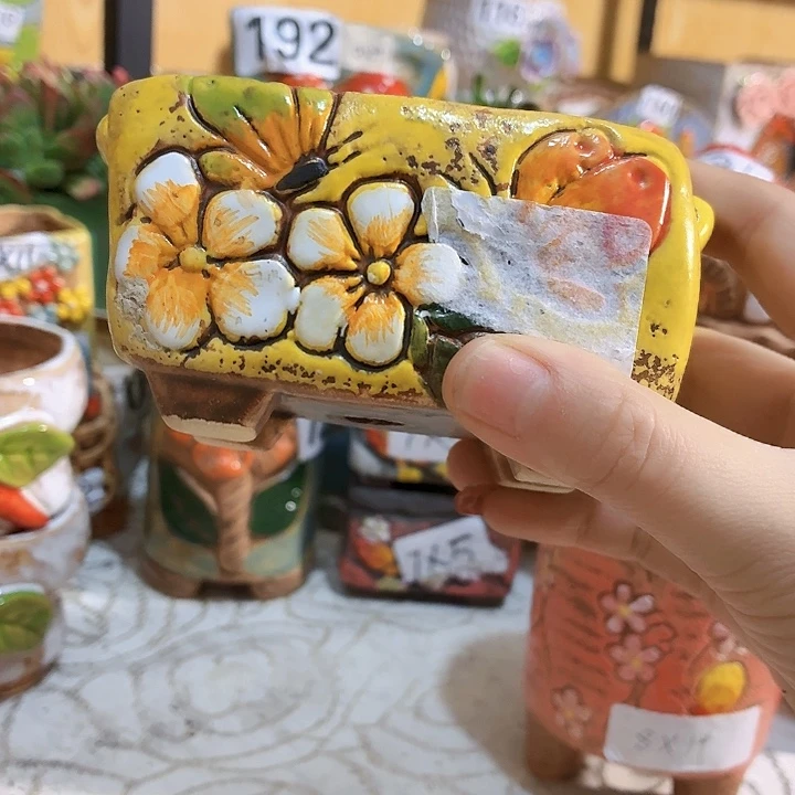 多肉花盆满15包邮