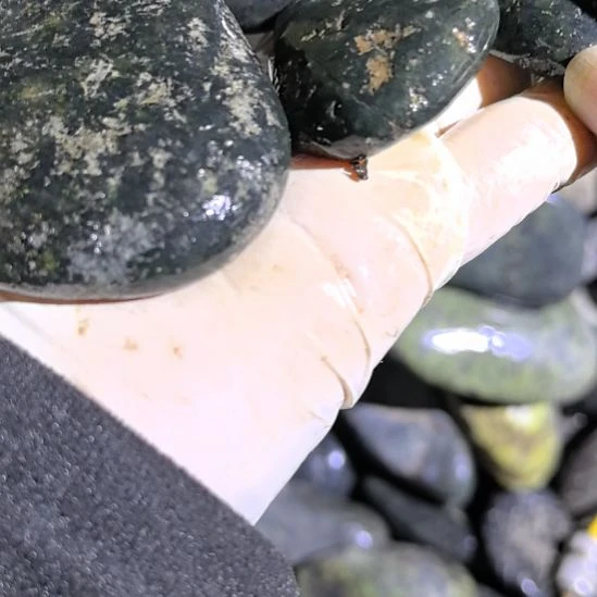 *****藏玉药王石原石五个