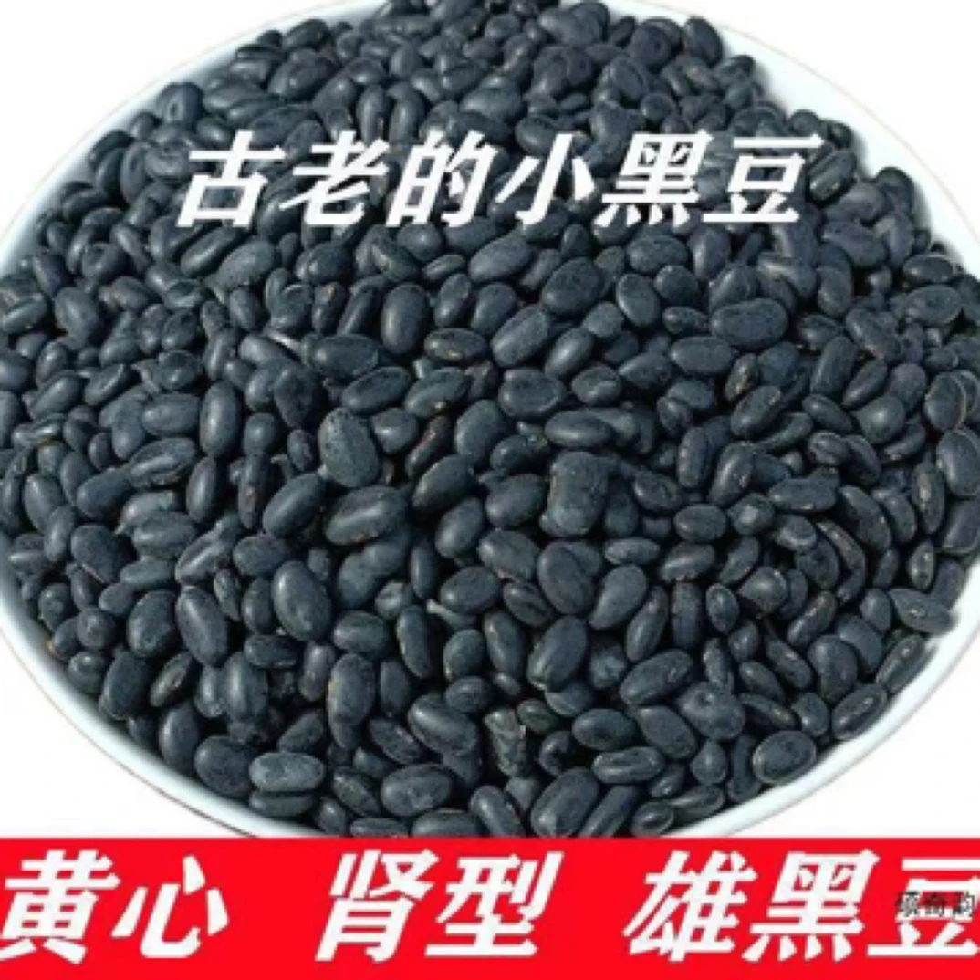 生黑黄心500*1袋装黄心黑豆