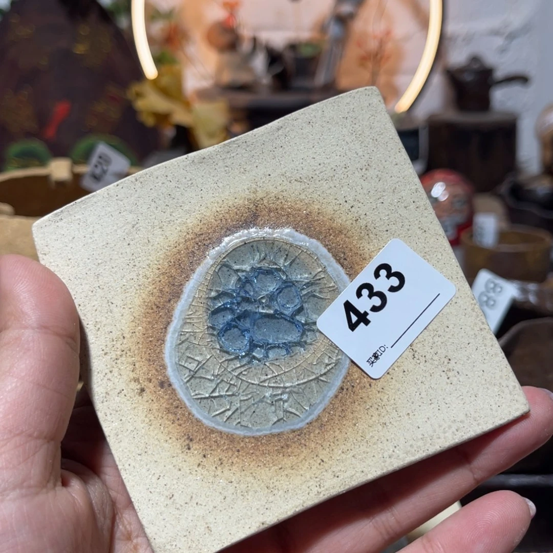 木村信弘柴烧保平