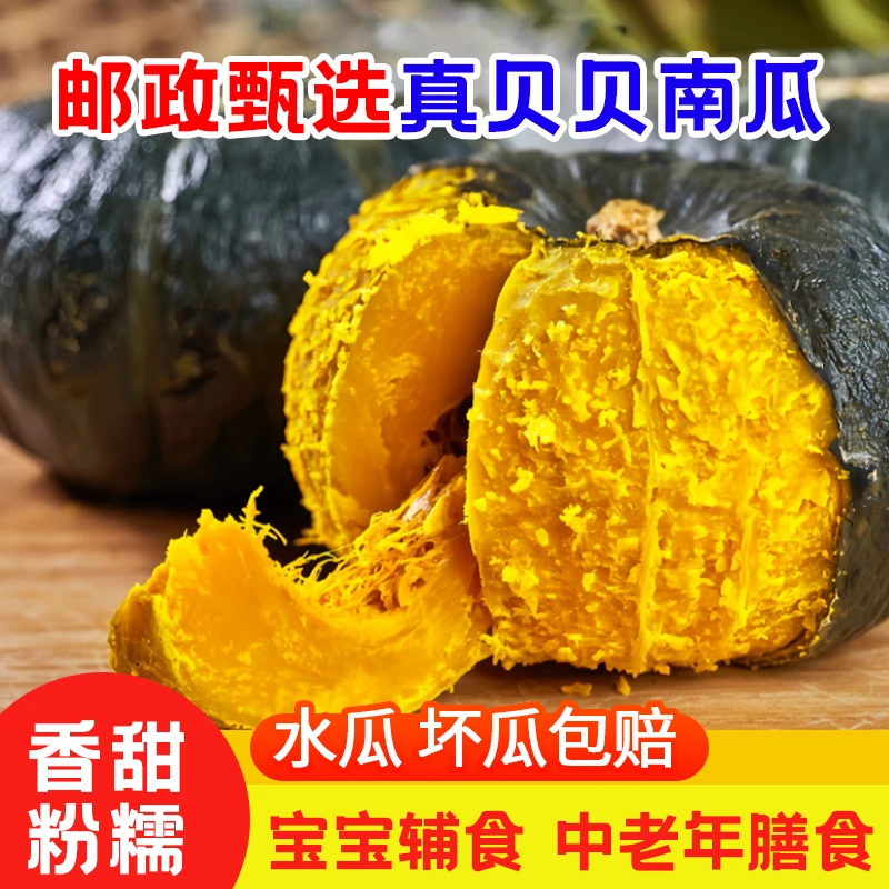 邮政甄选果舒康潍坊产地正宗板栗味贝贝小老南瓜粉糯香甜宝宝辅食