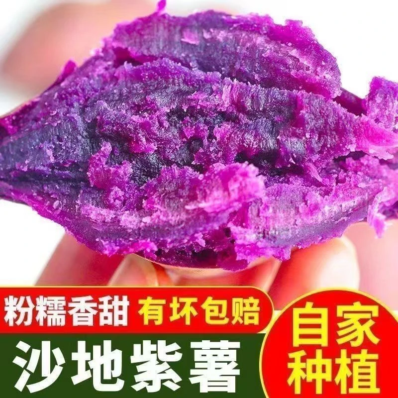 沙地紫薯软糯香甜新鲜现挖紫心红薯地瓜瓜果新鲜紫色