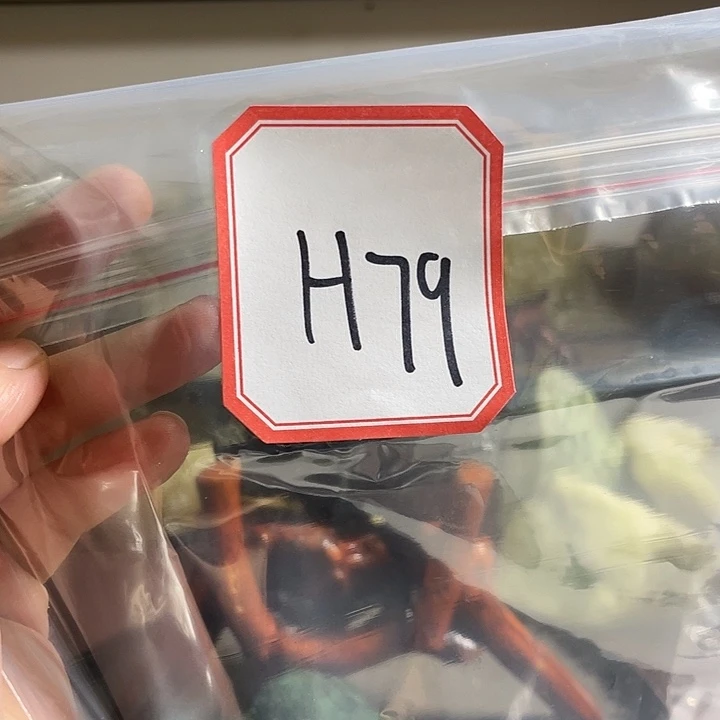 庄***炼蛇纹石玉未镶嵌纯天然岫玉
