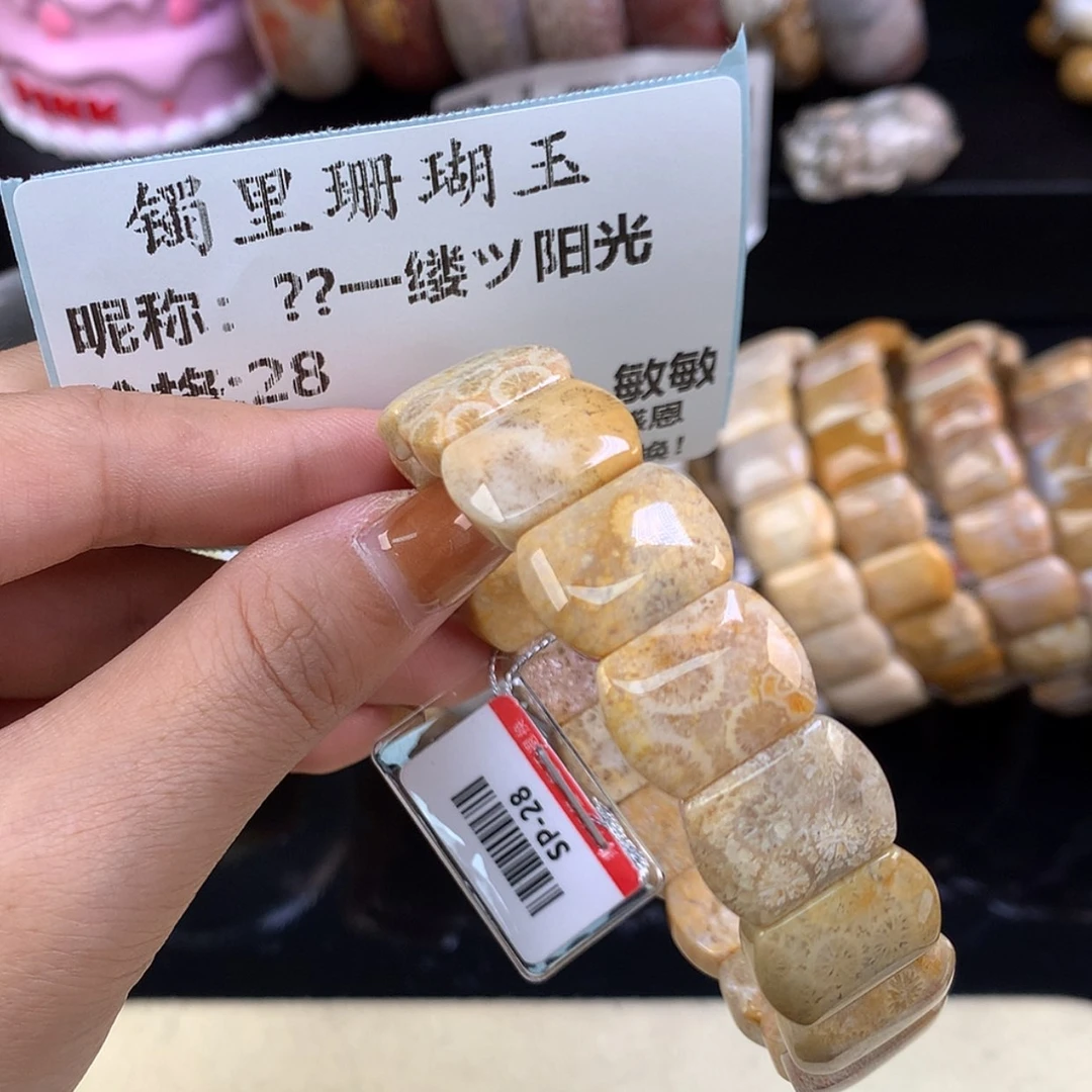 【闪购商品】颈饰未镶嵌硅化珊瑚（珊瑚玉）?****光