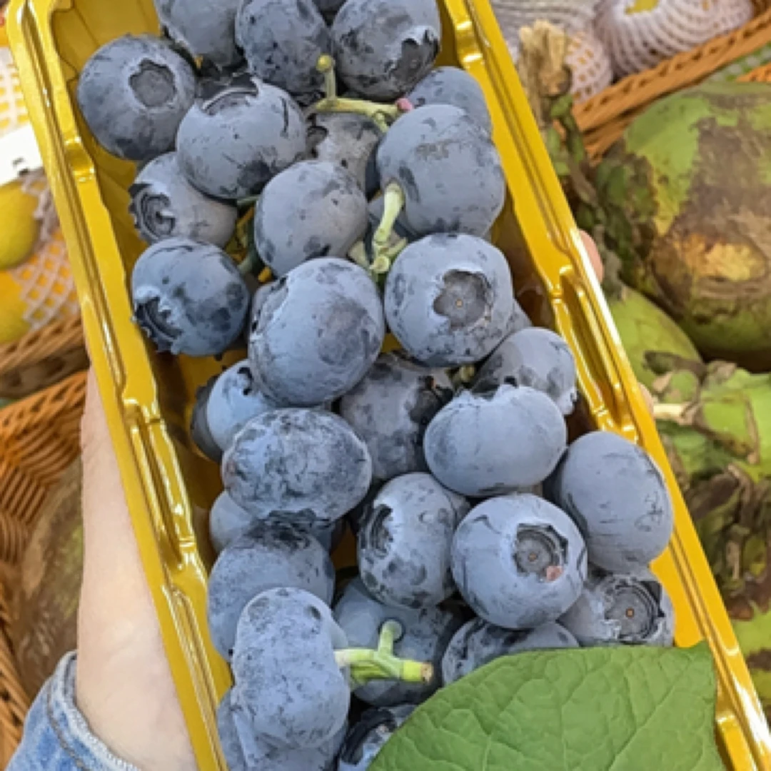 鲜枝蓝莓 一盒200g/30元17mm山东北陆南极上海市三亚市