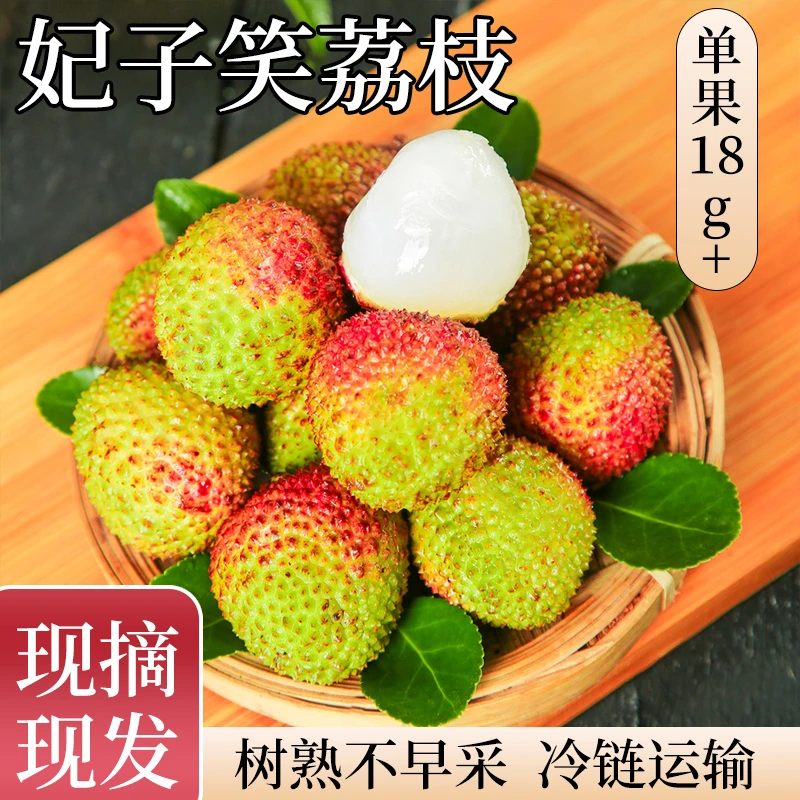 【次日达】广东湛江荔枝妃子笑果园直发核小肉厚香甜多汁5斤装新鲜广东省