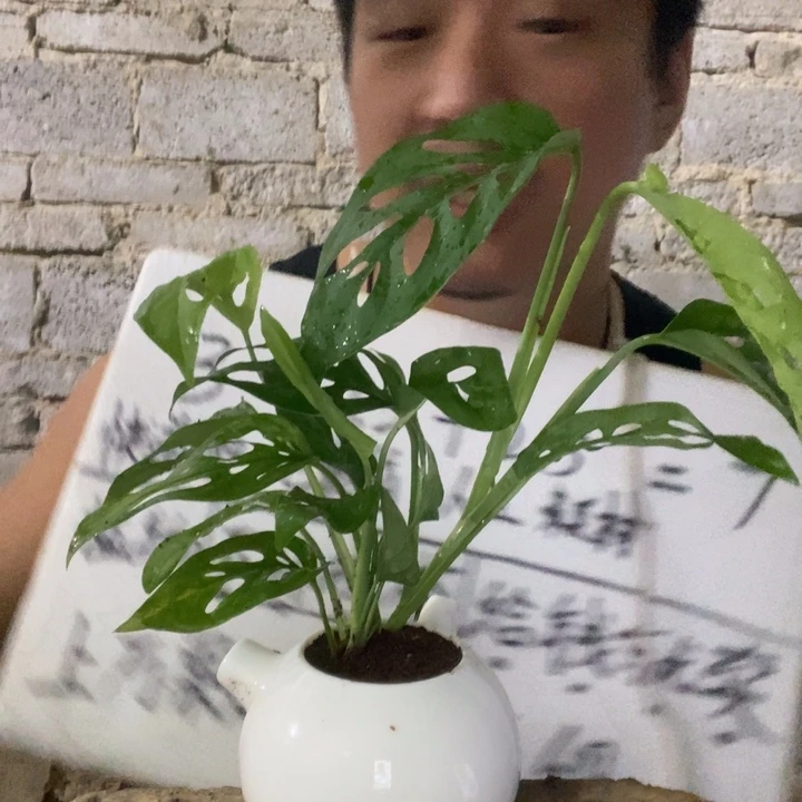 退款拉黑一物一拍76