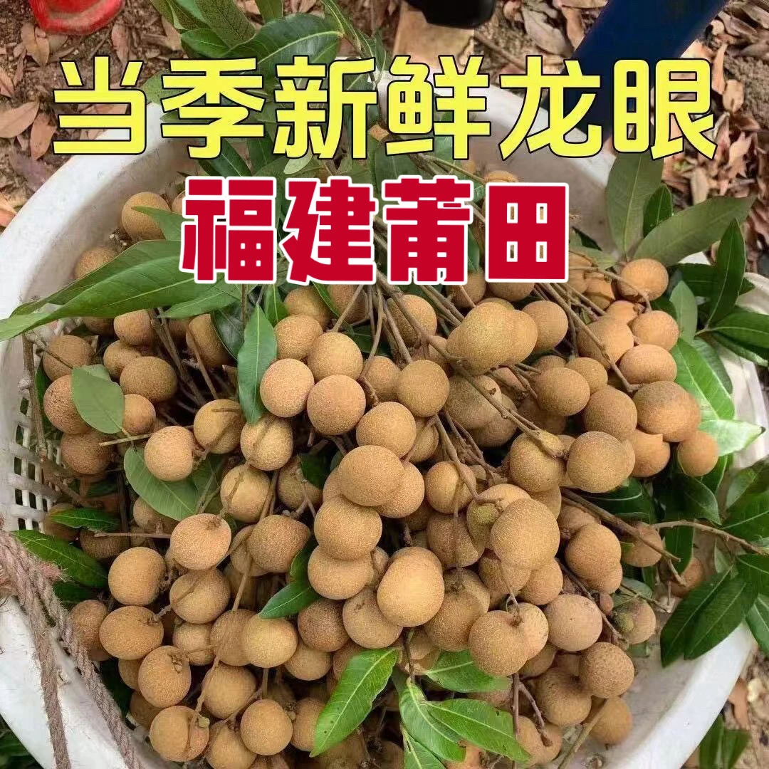 莆田华亭龙眼新鲜现摘果肉厚多汁带枝叶发货京东空运包邮