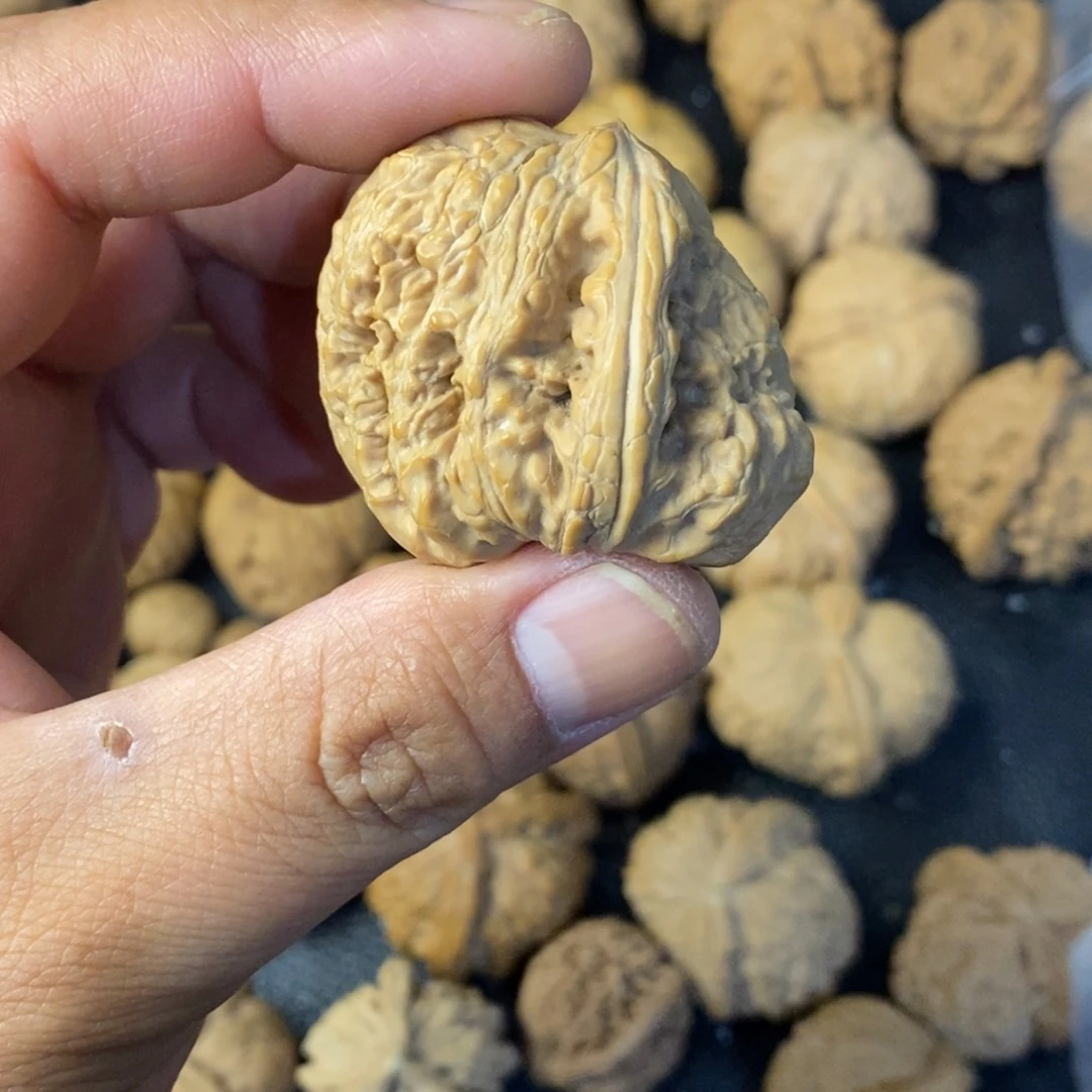 文玩核桃把件牛****妈粗筋