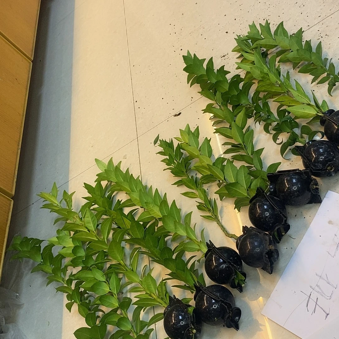 杀***空无花朵八防干刮八方干，八方干，八方干，八方干，八方干